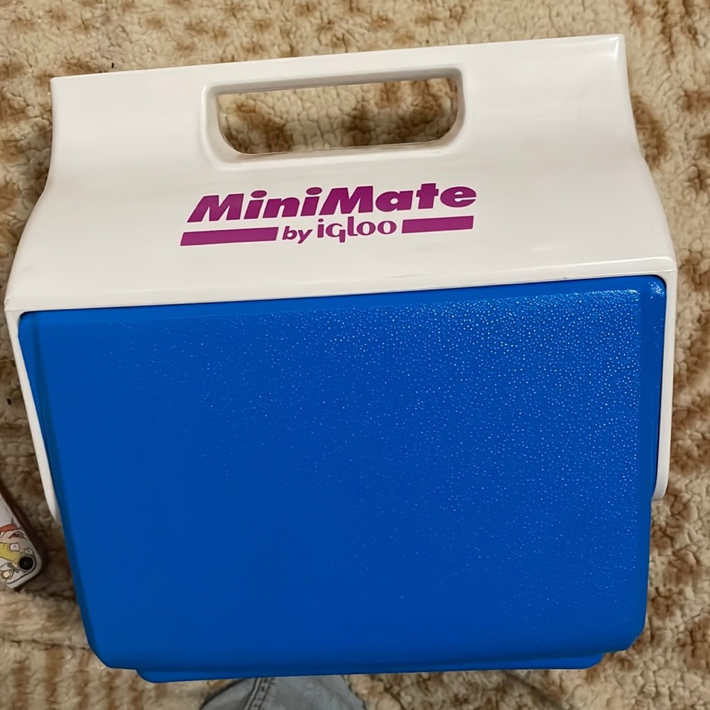 Igloo Mini Matte blue 1995